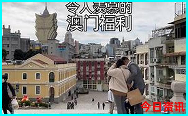 深中通道一日游旅游团报名
